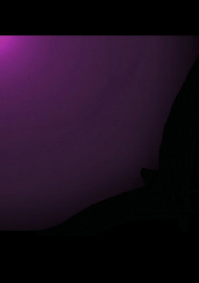 Screenshot_20250227-090938_Gallery.jpg