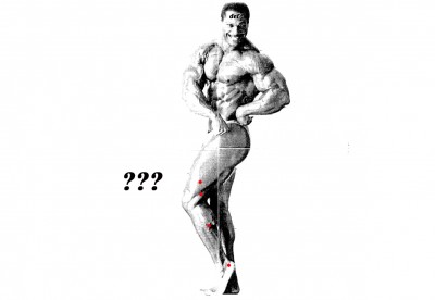 p6.jpg